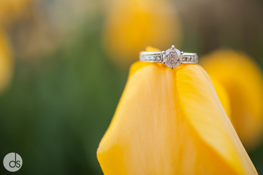 Eric-Katie-Eng-Blog-22