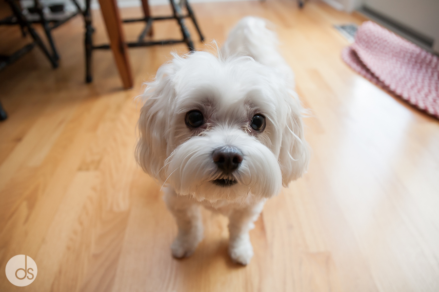 Matt-Lindsay-Wed-Blog-1